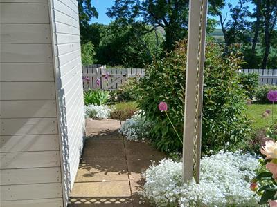 Picture 14